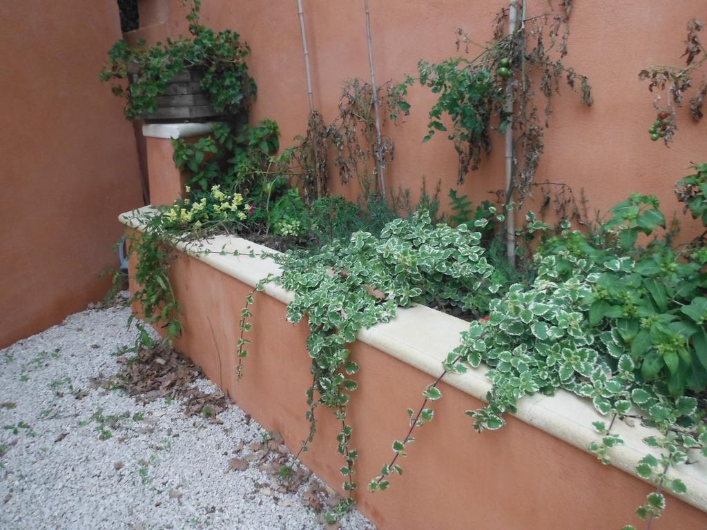 Appartement Le Romarin Mallemort Exterior photo
